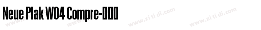 Neue Plak W04 Compre字体转换